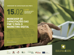 Read more about the article Workshop de capacitação de PME´S